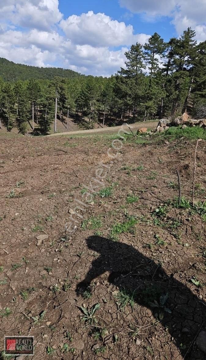 Honaz Aşağıkaraçay'da 8.755 M2 Satılık Tarla