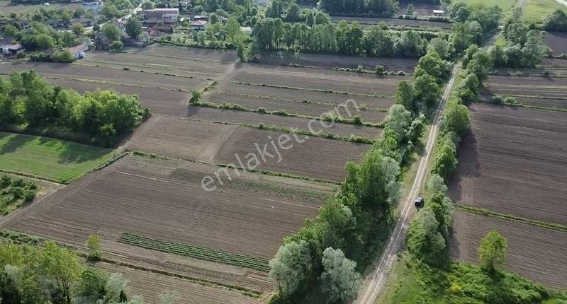 Yol Cepheli Yerleşim Yerine Çok Yakın 2 Dönüm Tarla