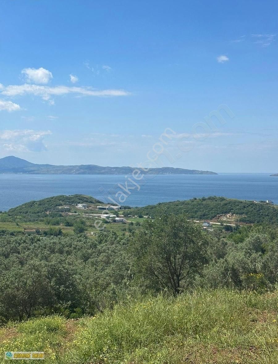 Karadağ Gayrimenkulden Resmi Yola Cephe Deniz Manzaralı Arazi