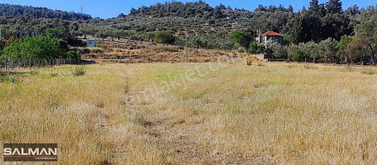 Foça Ilıpınar'da Anayola 100 M.mesafede Yatırımlık Satılık Tarla