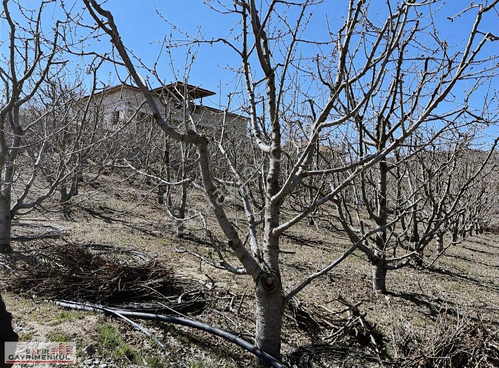 Yakaörende Ana Yola Sıfır Tek Tapu Arazi
