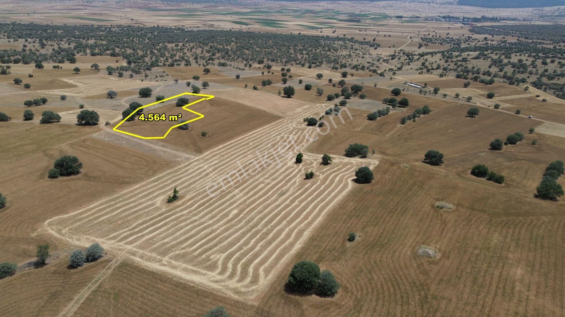 Akören Hacılar Da 4.564 M2 Müstakil Tapulu Tarla