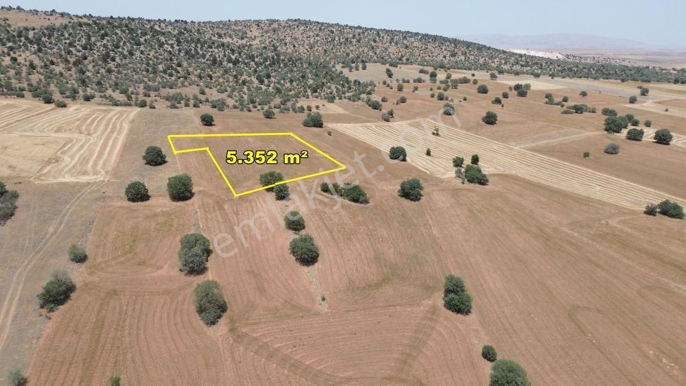 Akören Hacılar Da 5.352 M2 Müstakil Tapulu Tarla