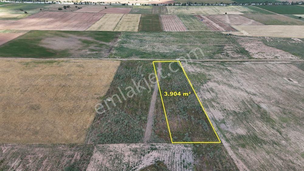 Çumra Avdul Da 3.904 M2 Müstakil Tapulu Tarla