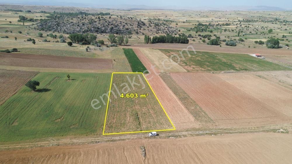 Akören Tülce D 4.603 M2 Müstakil Tapulu Tarla