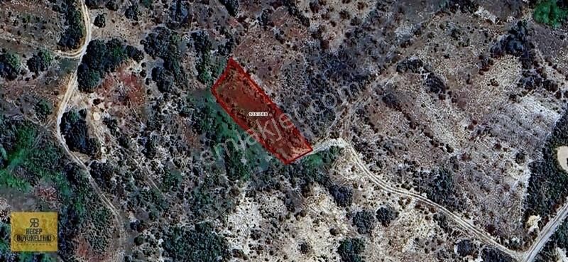 Karadiğin'de 1.000 M2 Müstakil Yeşiller İçinde Bahçe