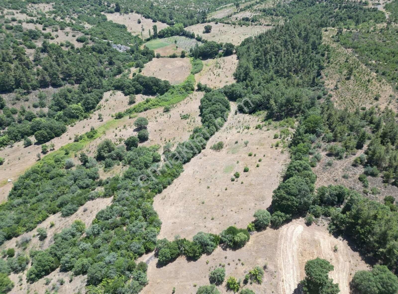 Toplam 33 Dönüm Resmi Yolu Mevcut Tarla