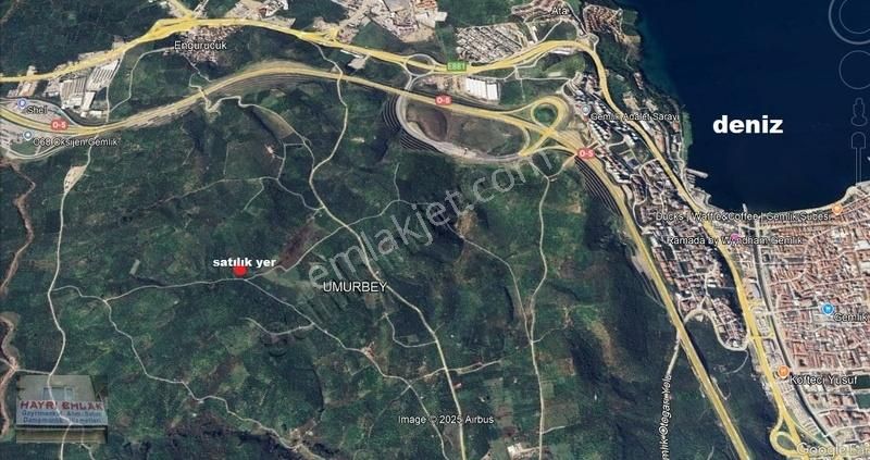 Gemlik Umurbey De 1496m² Satılık Zeytinlik - Görsel 4