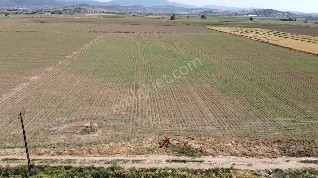 Tire Satılık Tarla 11.000 M2 Tokatbası Yolu Elektrk Su Mevcut