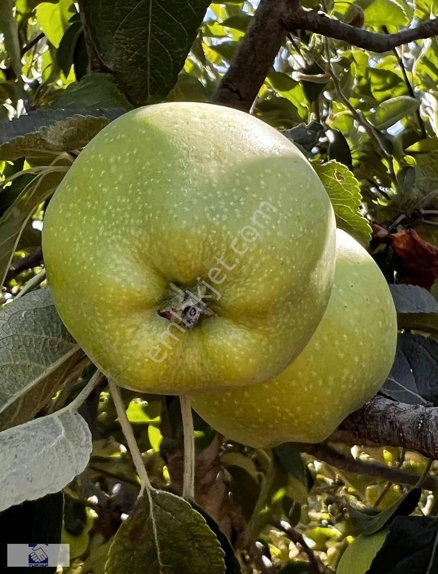 Serinhisarda Satılık Bahçe