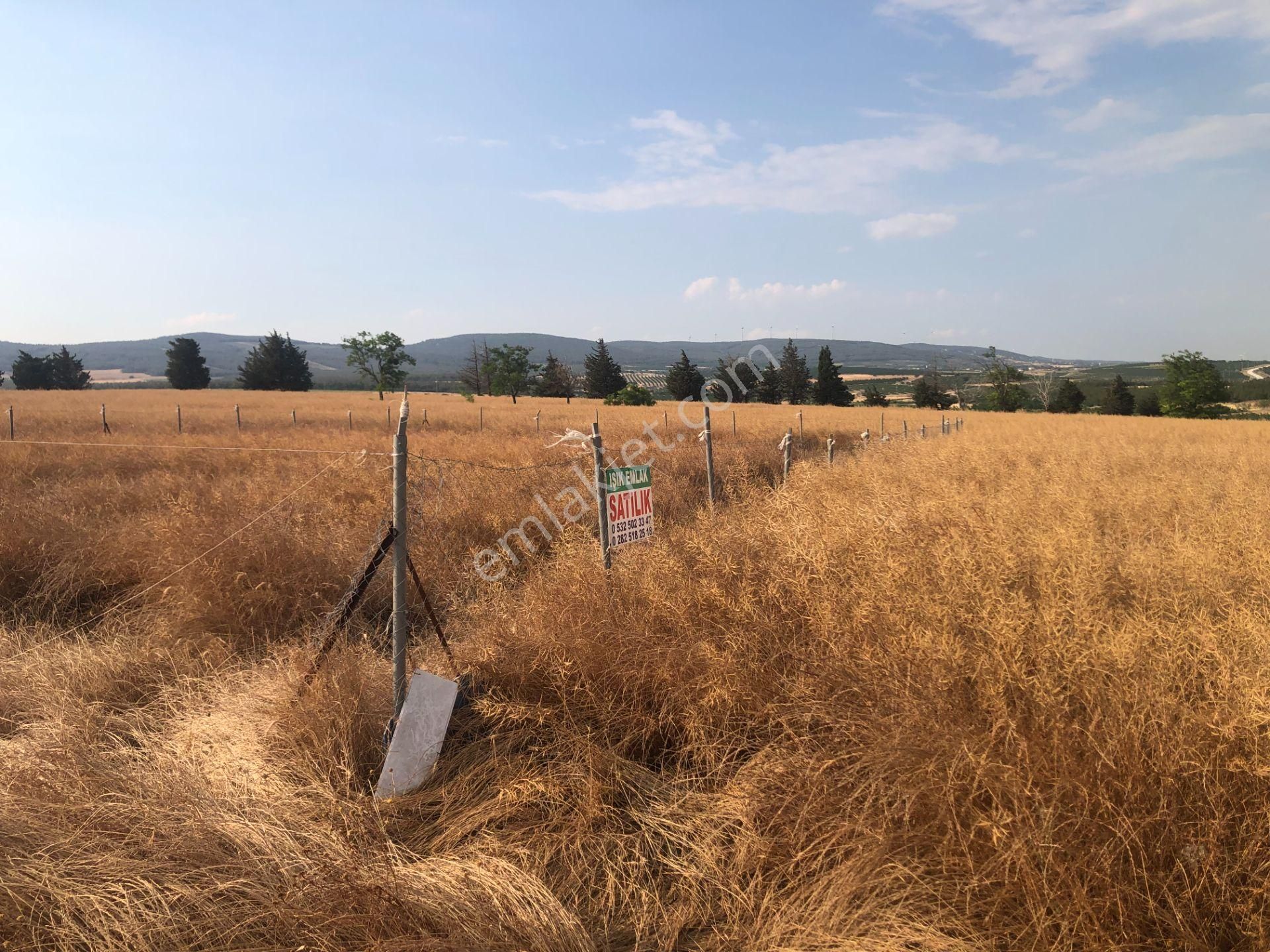 Şarköy De Işık Emlaktan Kızılcaterzi Mah De 485 M2 0/20 İmarlı Arsa - Görsel 8