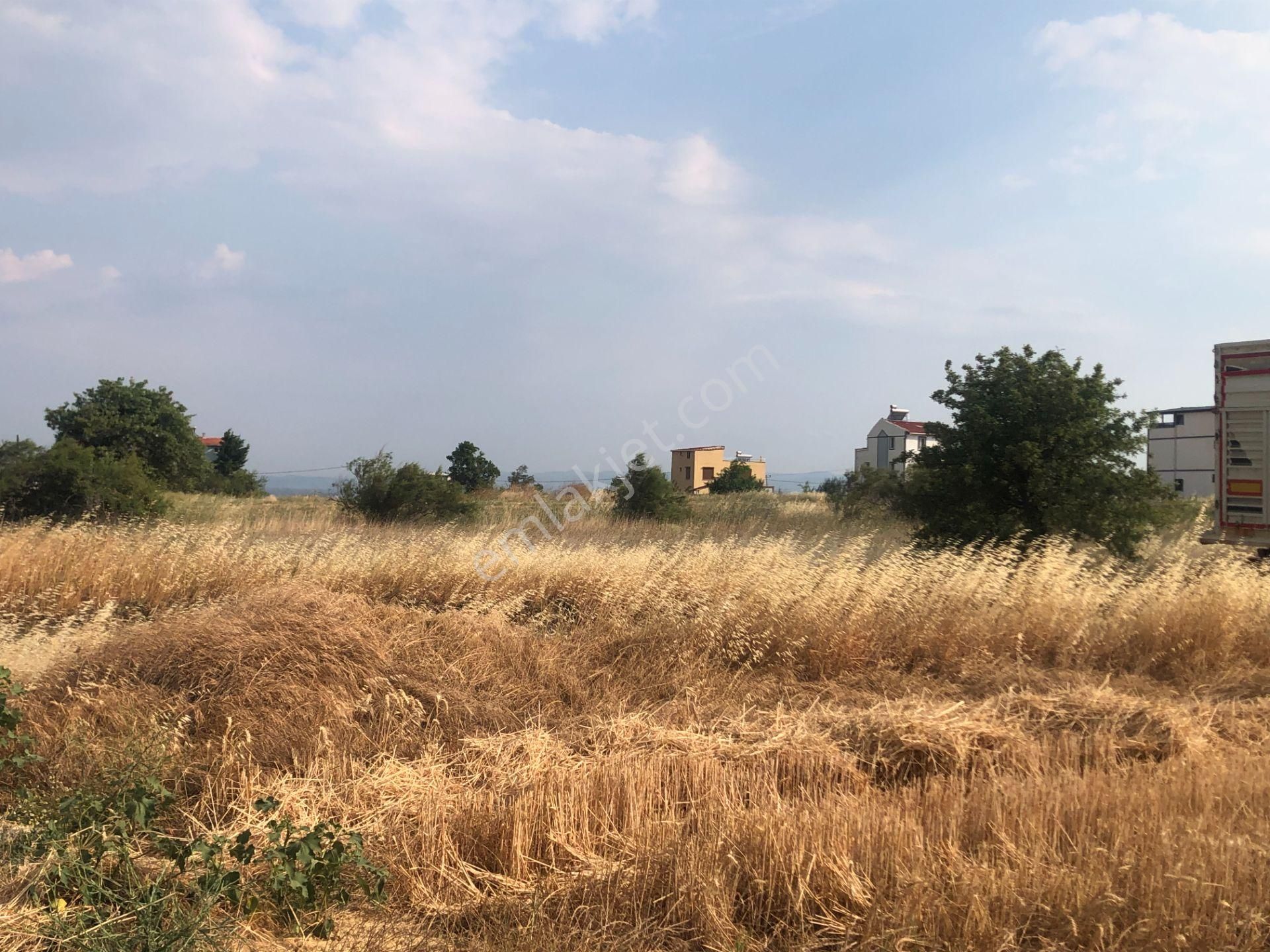 Şarköy De Işık Emlaktan Kızılcaterzi Mah De 485 M2 0/20 İmarlı Arsa - Görsel 4