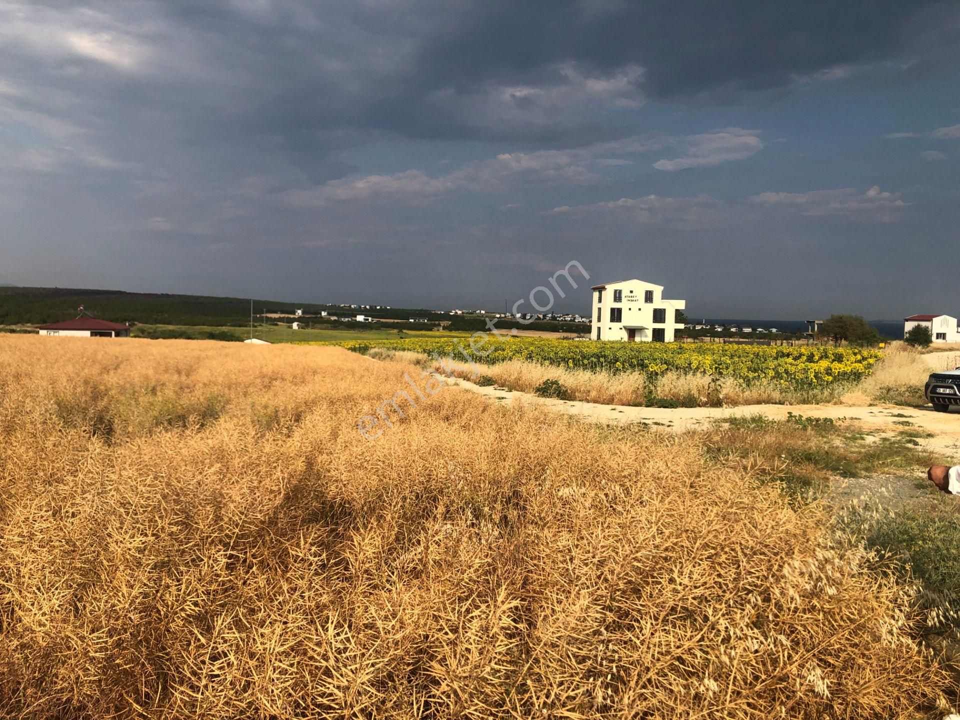 Şarköy De Işık Emlaktan Kızılcaterzi Mah De 485 M2 0/20 İmarlı Arsa - Görsel 10
