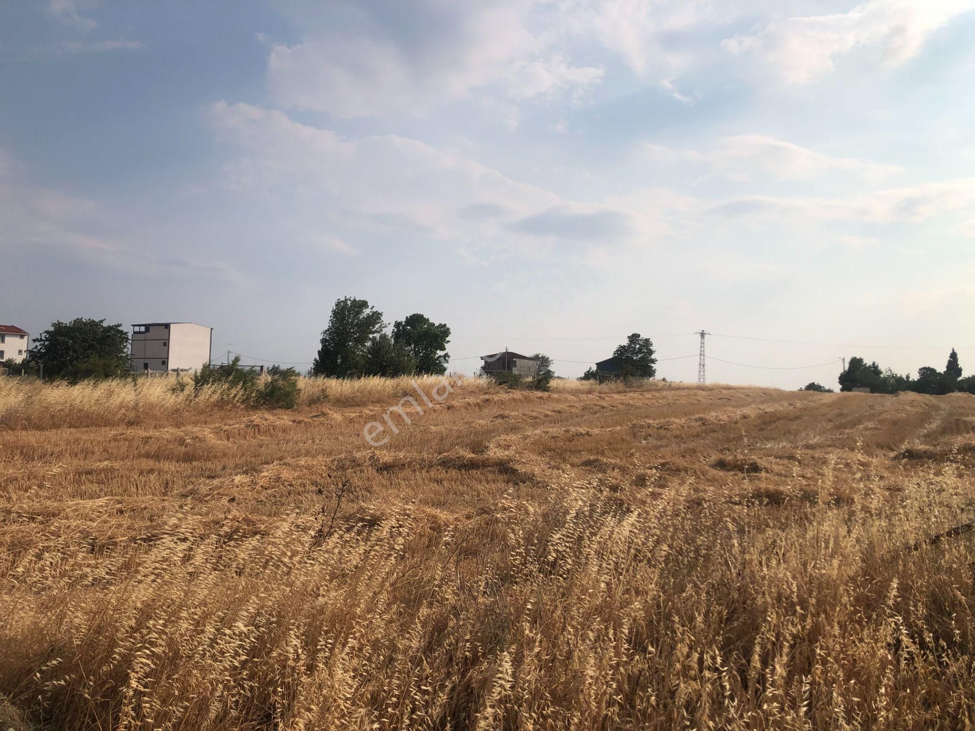 Şarköy De Işık Emlaktan Kızılcaterzi Mah De 485 M2 0/20 İmarlı Arsa - Görsel 6