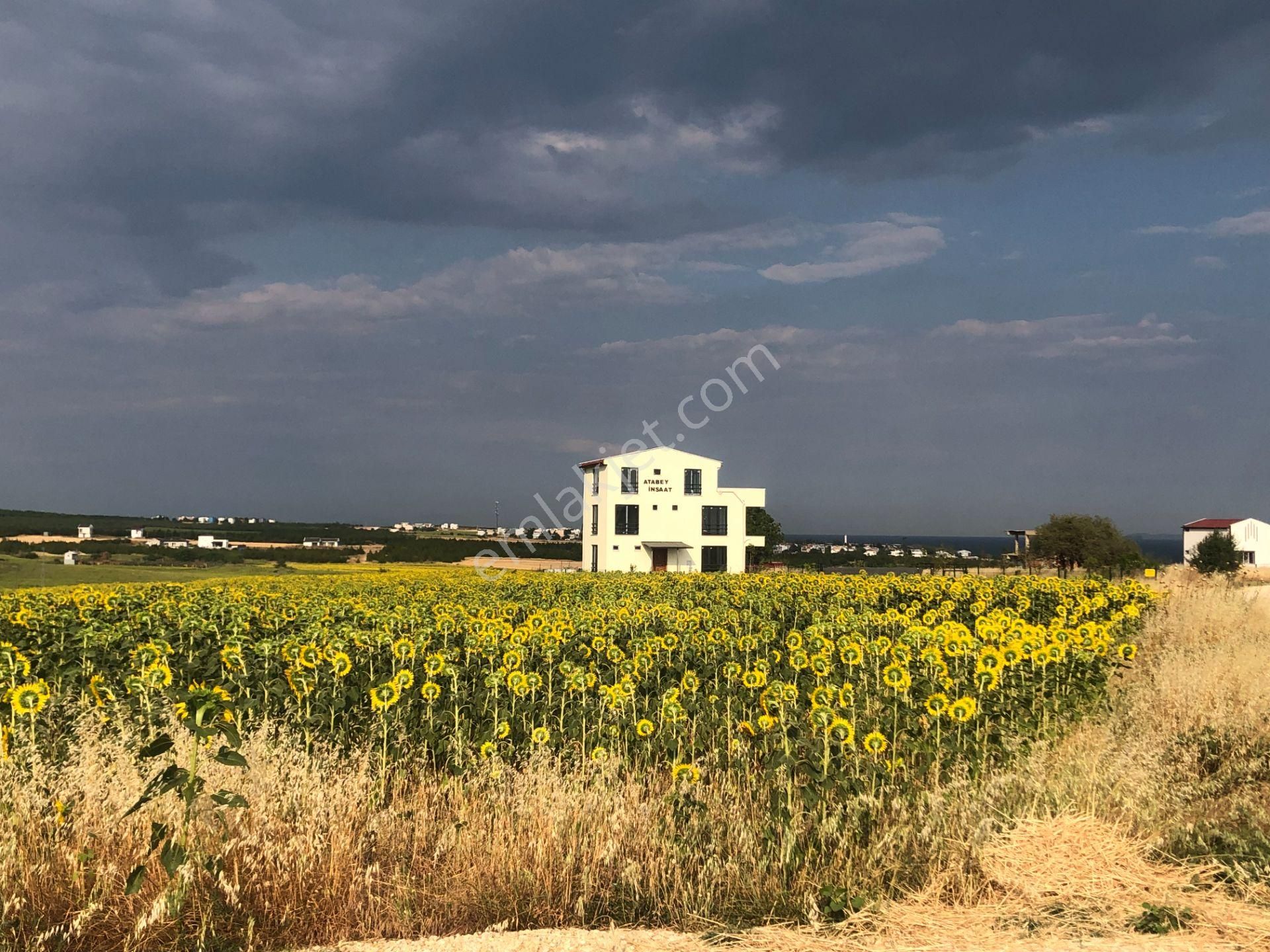 Şarköy De Işık Emlaktan Kızılcaterzi Mah De 485 M2 0/20 İmarlı Arsa - Görsel 7