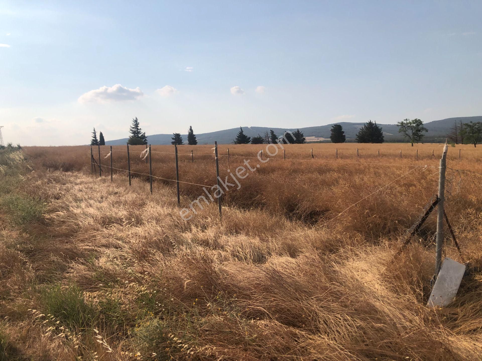 Şarköy De Işık Emlaktan Kızılcaterzi Mah De 485 M2 0/20 İmarlı Arsa - Görsel 11