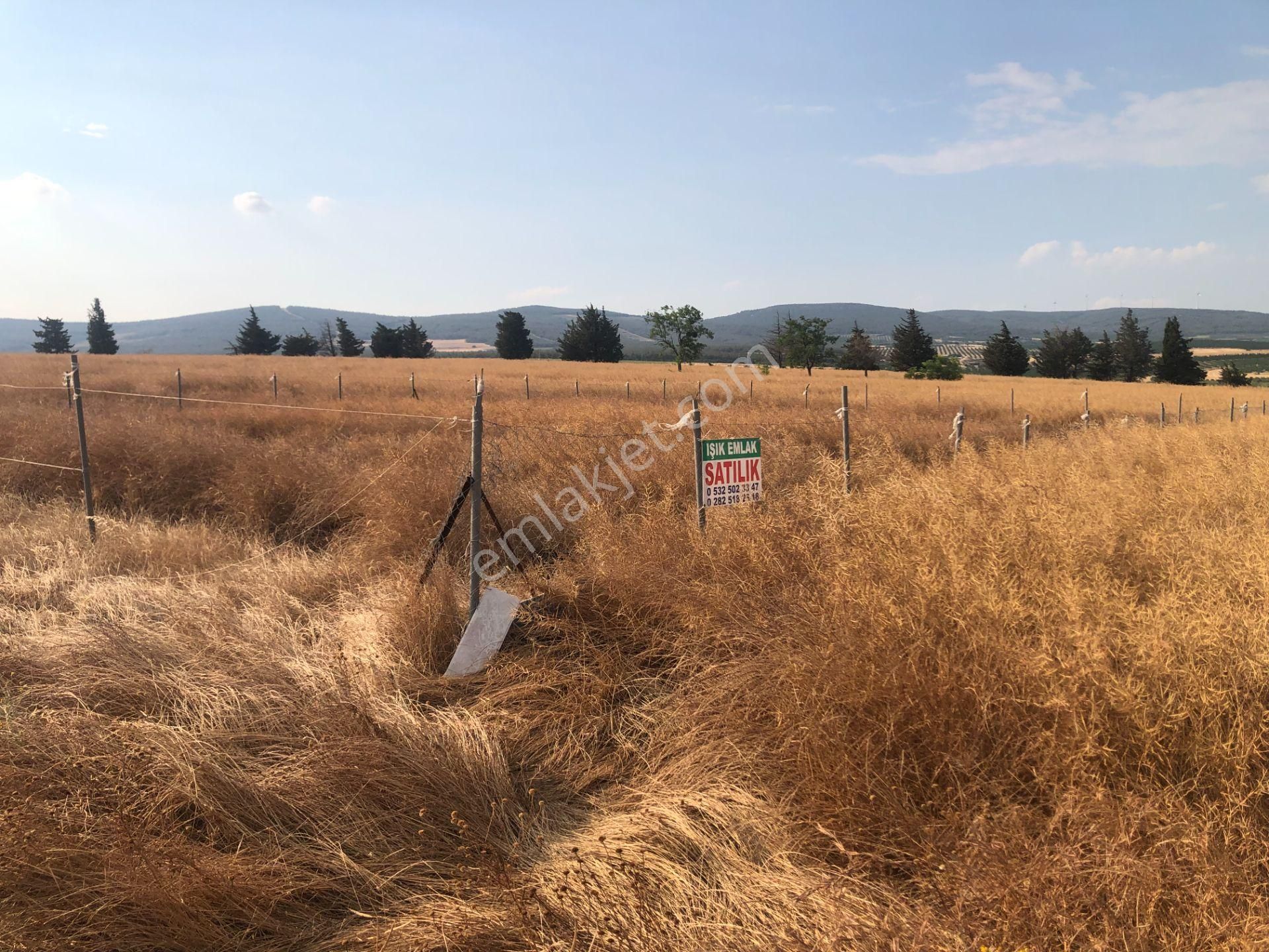 Şarköy De Işık Emlaktan Kızılcaterzi Mah De 485 M2 0/20 İmarlı Arsa - Görsel 12