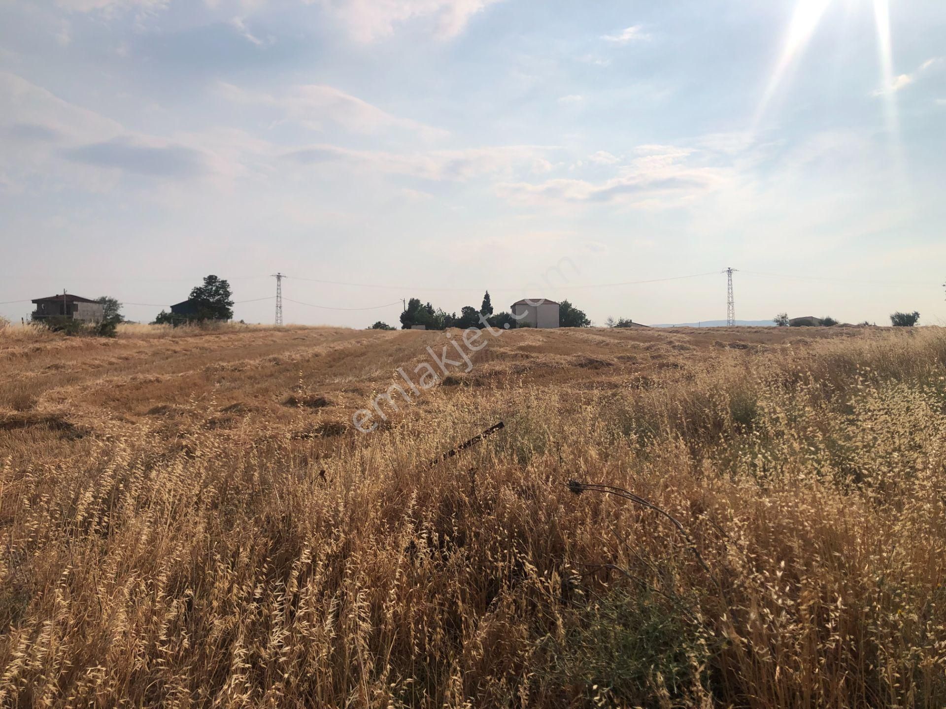 Şarköy De Işık Emlaktan Kızılcaterzi Mah De 485 M2 0/20 İmarlı Arsa - Görsel 9