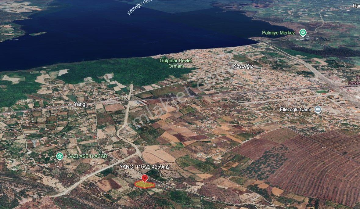 Rota Köyceğiz Gayrimenkul'den Yangı'da Satılık 4259m² Bahçe - Görsel 6