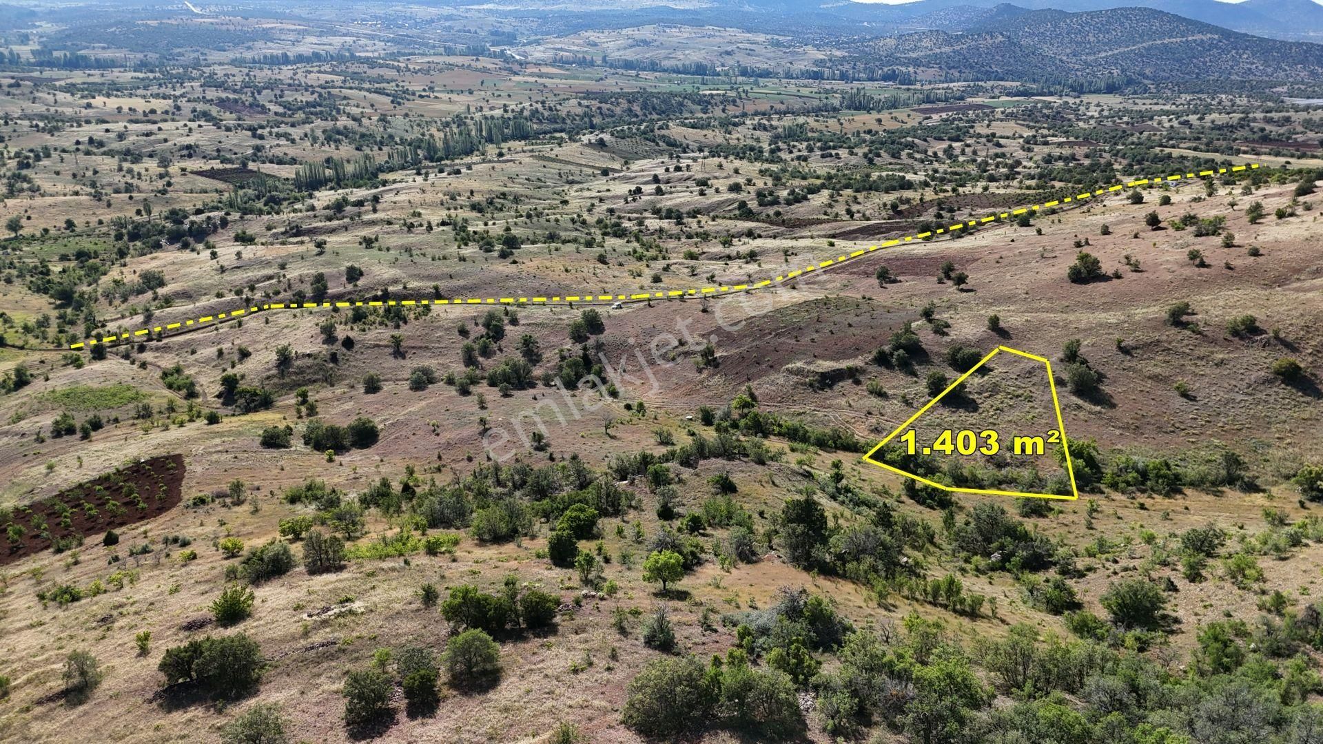 Güneysınır Gürağaç Da 1.403 M2 Müstakil Tapulu Bağ