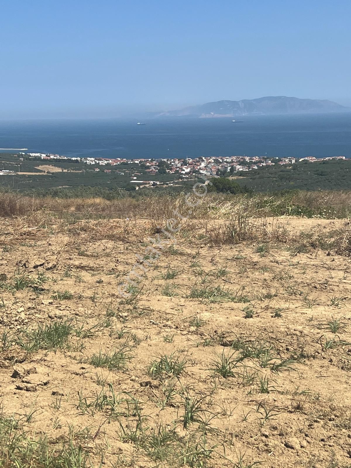 Tekirdağ Mürefte'de 225 M² Yatırımlık Arsa! | Denize 600 M