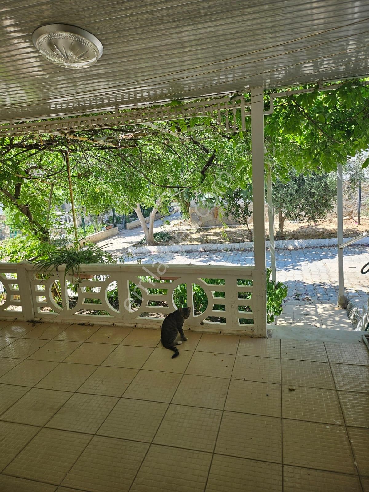 Bitişik Nizam 2,5+1 Yazlığımız Acil Satılıktır. - Görsel 30