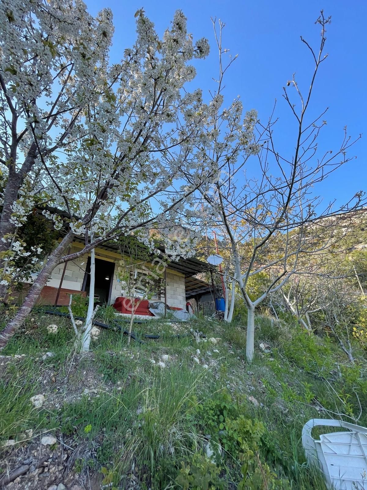 Dinçer Emlak'tan Erdemli Karahıdırlı Mah.satılık 385m2 Arsa İçersinde Tek Katlı Ev