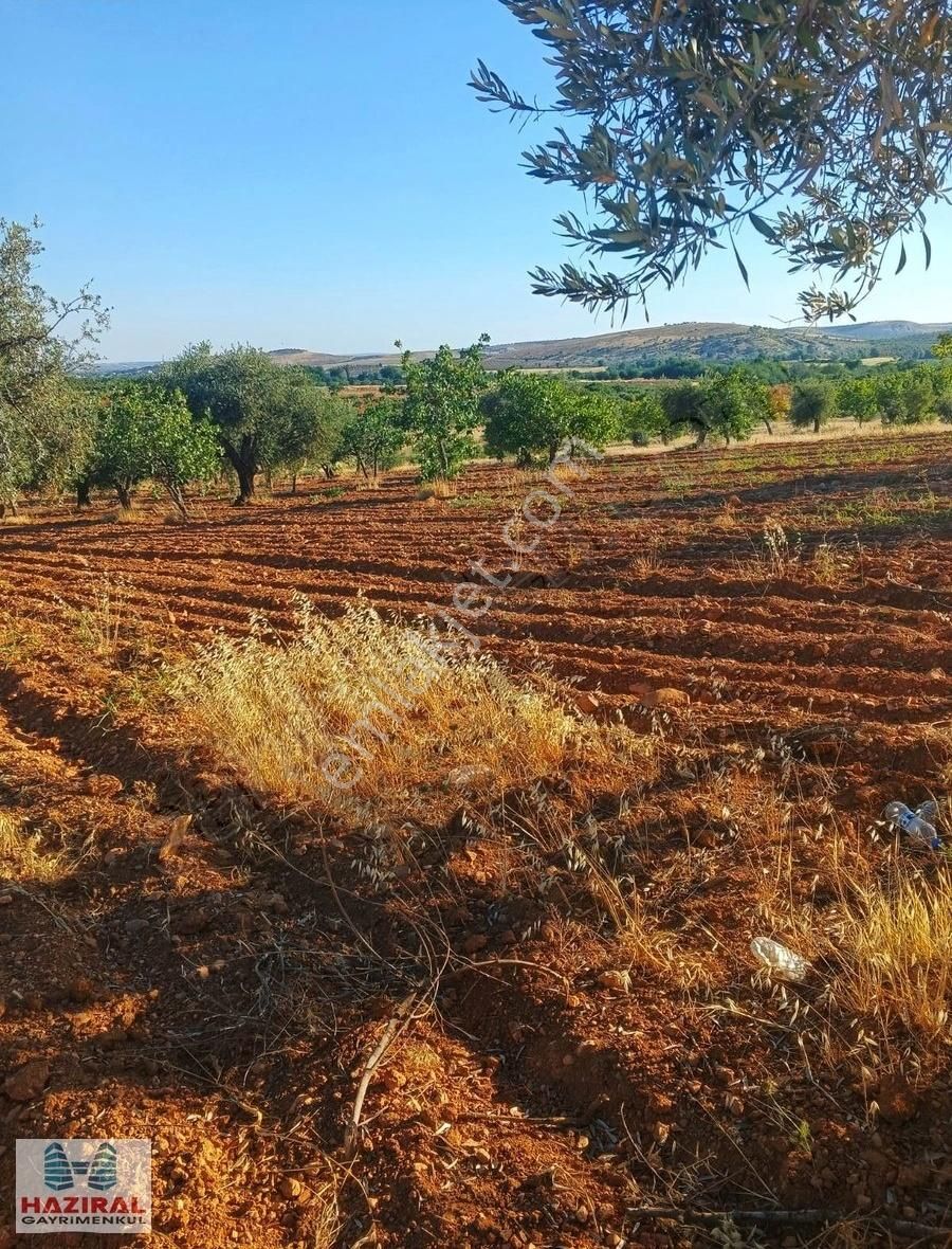 Oğuzeli Kurtuluş'ta Asfalta Sıfır Bahçe