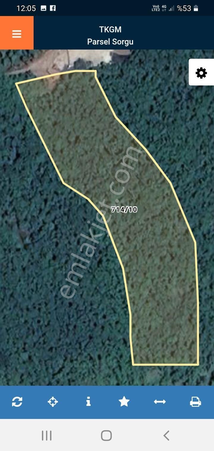 Acıl Sakarya Kocaali'de Acil Satılık 2700 M2 Fındık Bahçesi - Görsel 3