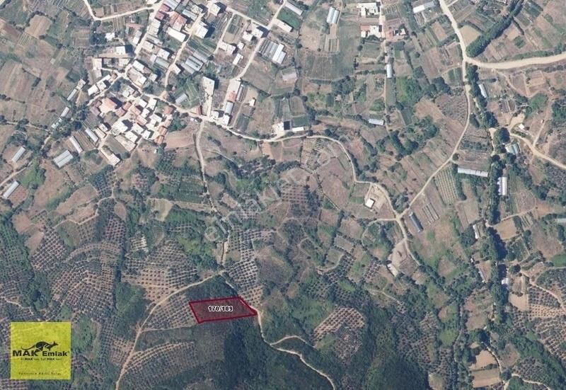 Sahil Yenice'de Deniz Manzaralı Satılık Arazi! S 2783