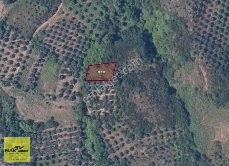 Bandırma Sahil Yenicede Yatırımlık Fırsat Arazi! S 2780
