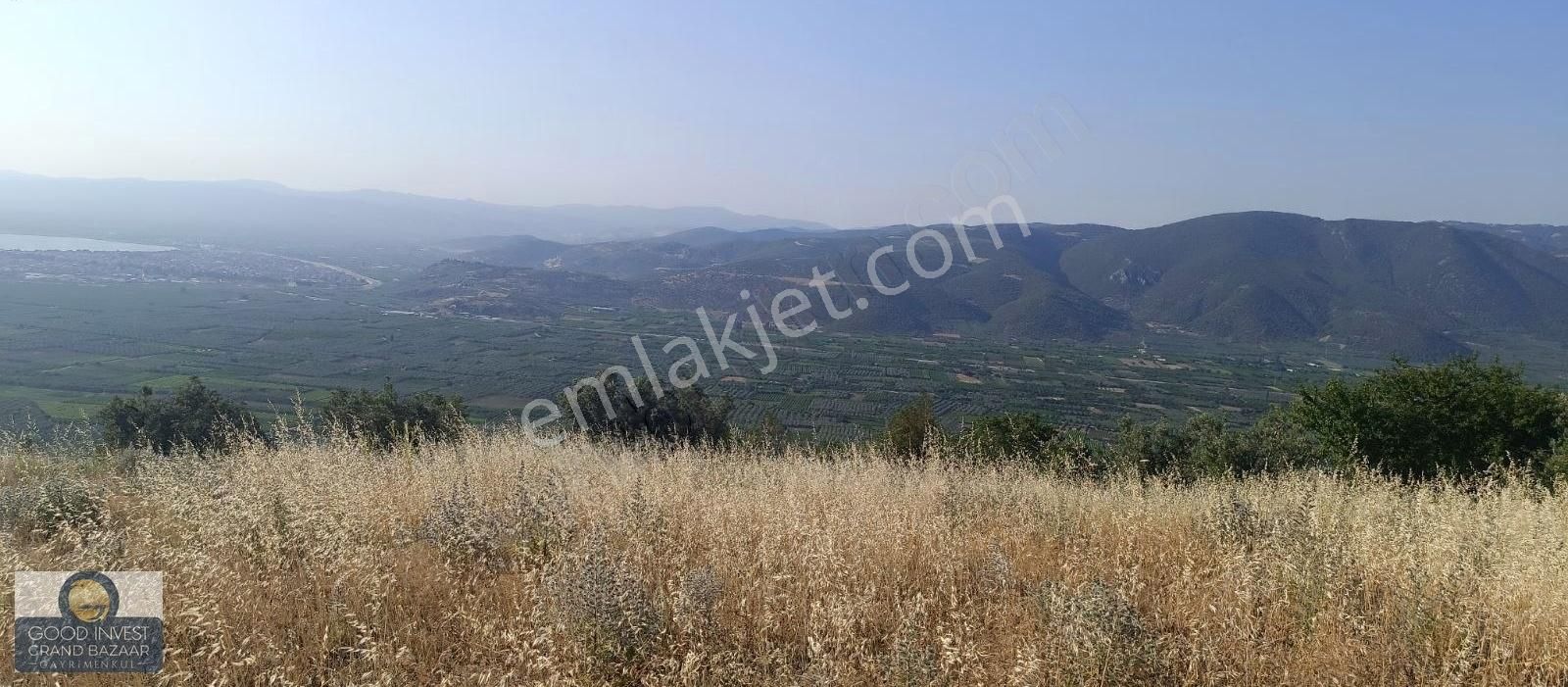 ️ Bursa İznik Çamdibinde Satılık Göl Manzaralı Bağ Ve Tarla! - Görsel 10