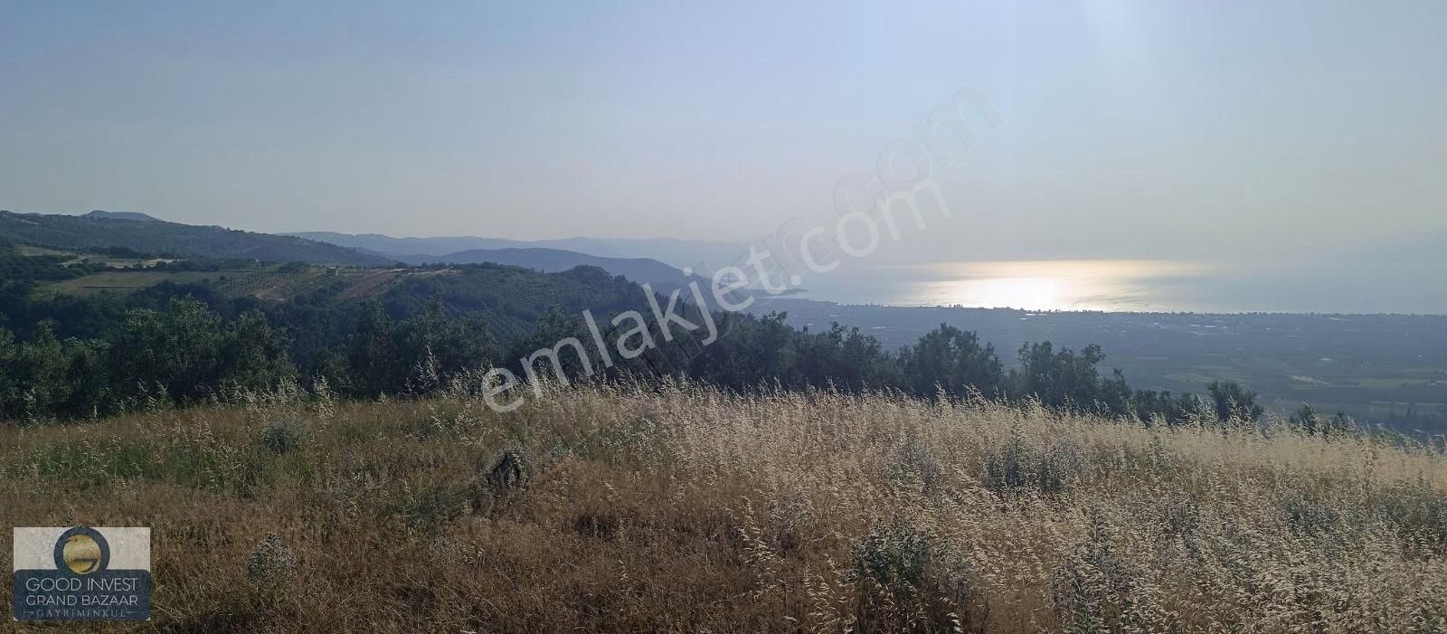 ️ Bursa İznik Çamdibinde Satılık Göl Manzaralı Bağ Ve Tarla! - Görsel 2