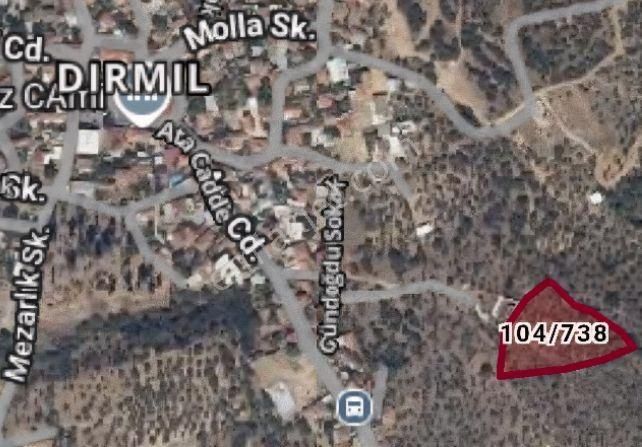 Dırmıl Meydanına 200m Müst. Tapu Panoramik Manzaralı Zeytinlik 4.315 M² Tepe Konum Projeye Uygun