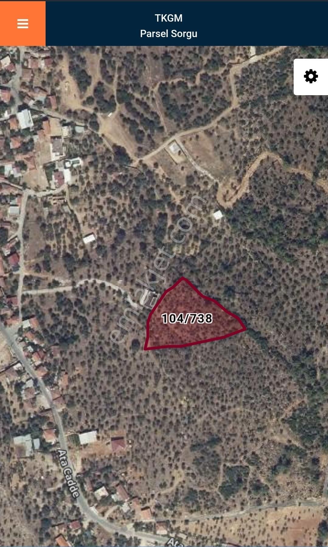 Tek Tapulu Panoramik Manzaralı Zeytinlik – 4.315 M² | Köy Merkezi | Tepe Konum | Projeye Uygun