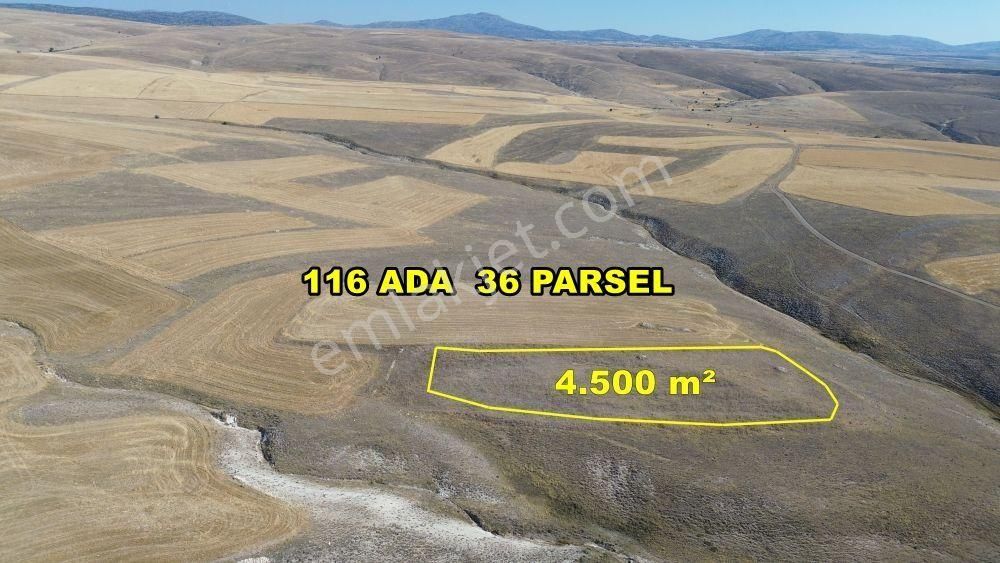 Karaman / Ayrancı / Melikli De 4.500 M² Müstakil Tarla