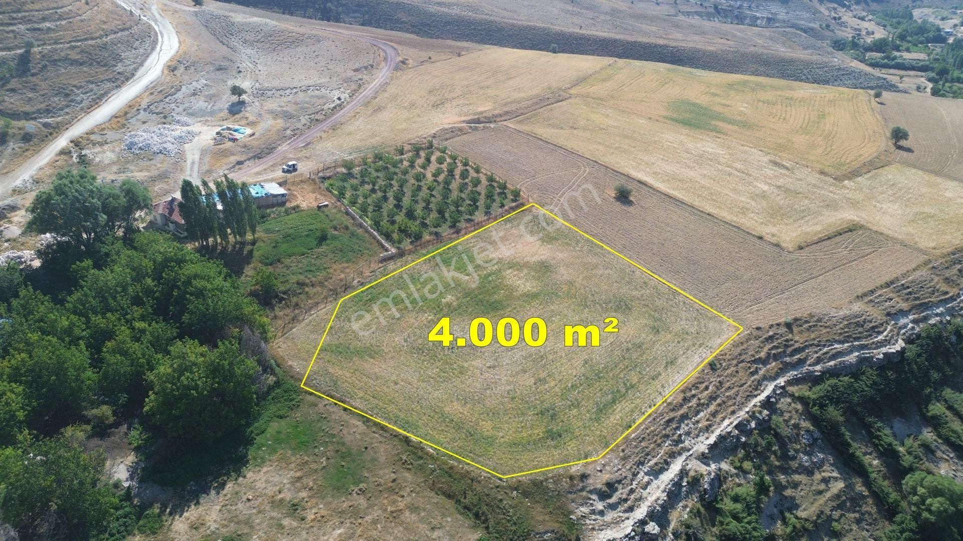 Karaman / Ayrancı / Pınarkaya Da 4.000 M² Müstakil Tarla