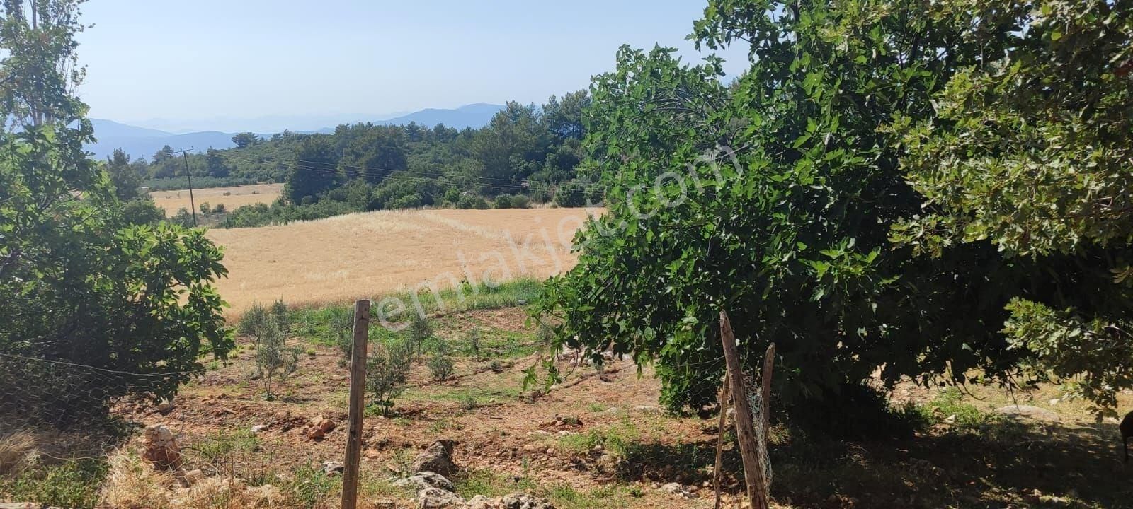 Seydikemer Yakaköy Karaçon’da Satılık Fırsat 8075 M² Tarla