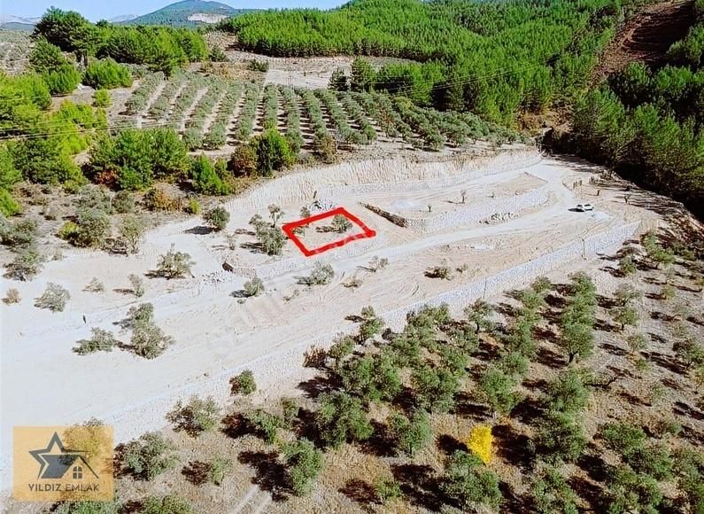 Kafaca Mah Asfalta Sıfır Yatırımlık Kooperatif Hissesi!