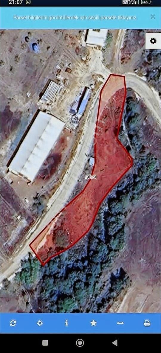 Bursa Yenişehir Satılık Tarla