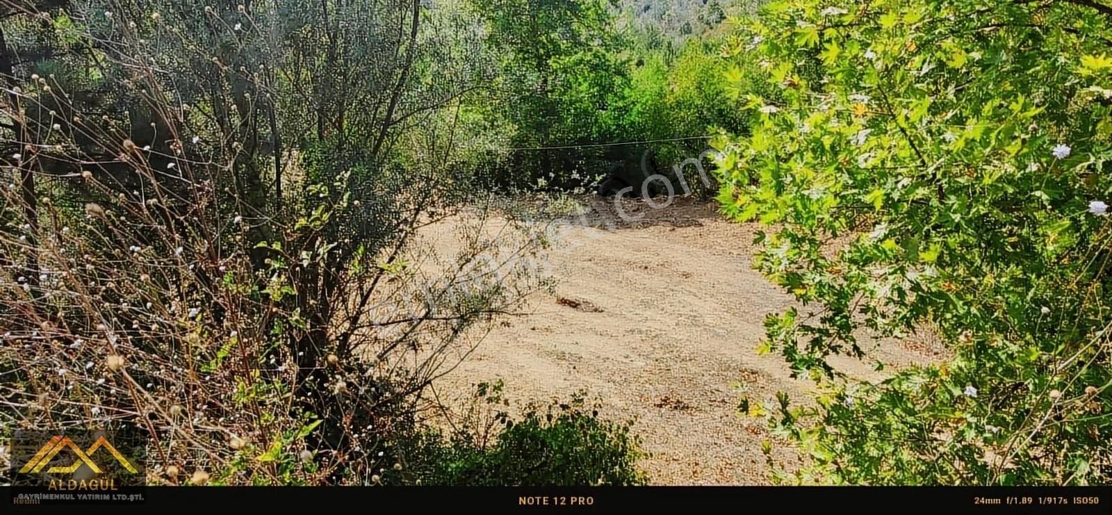 Fiyatı Düşürdük!! İnegöl Yeniköy Emsallerinin Altında Tarla.. - Görsel 8