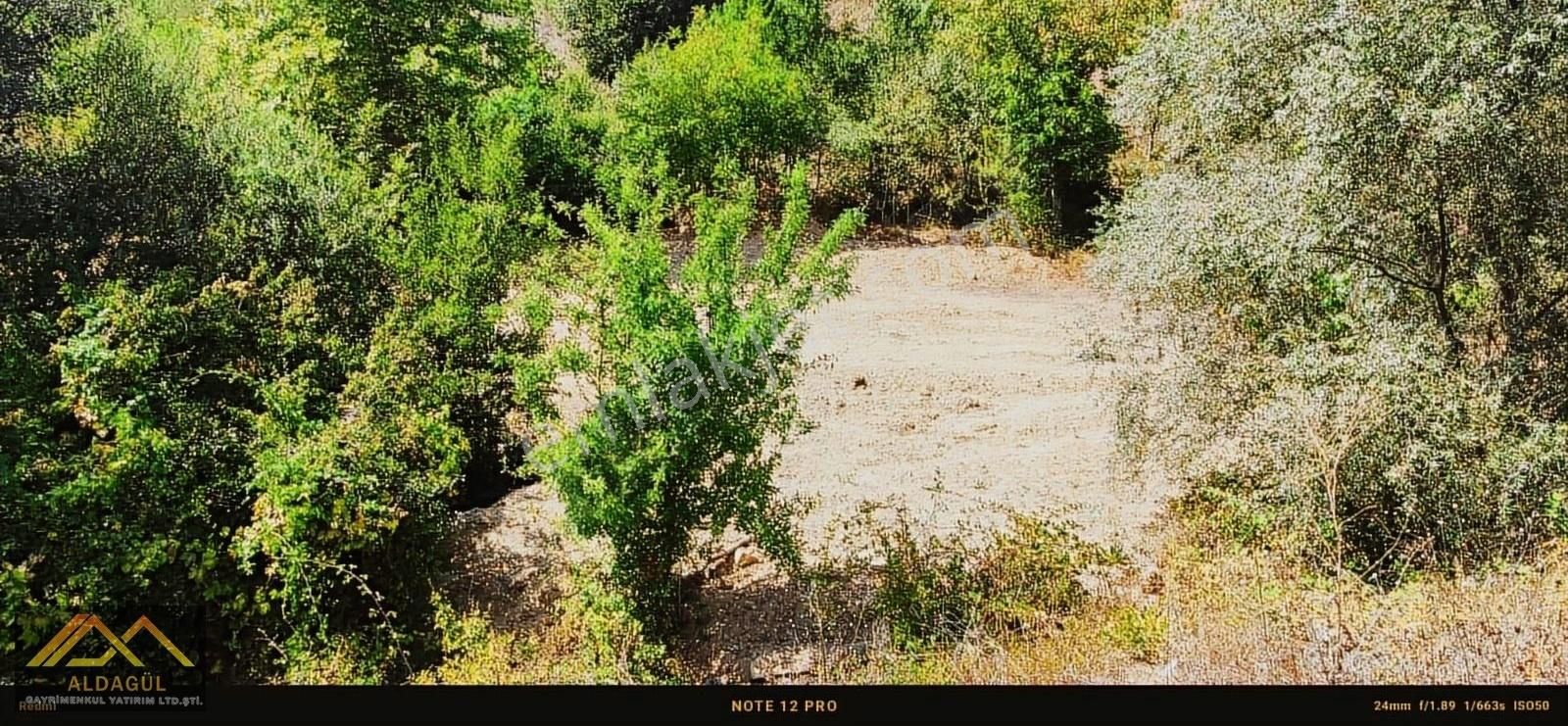 Fiyatı Düşürdük!! İnegöl Yeniköy Emsallerinin Altında Tarla.. - Görsel 5