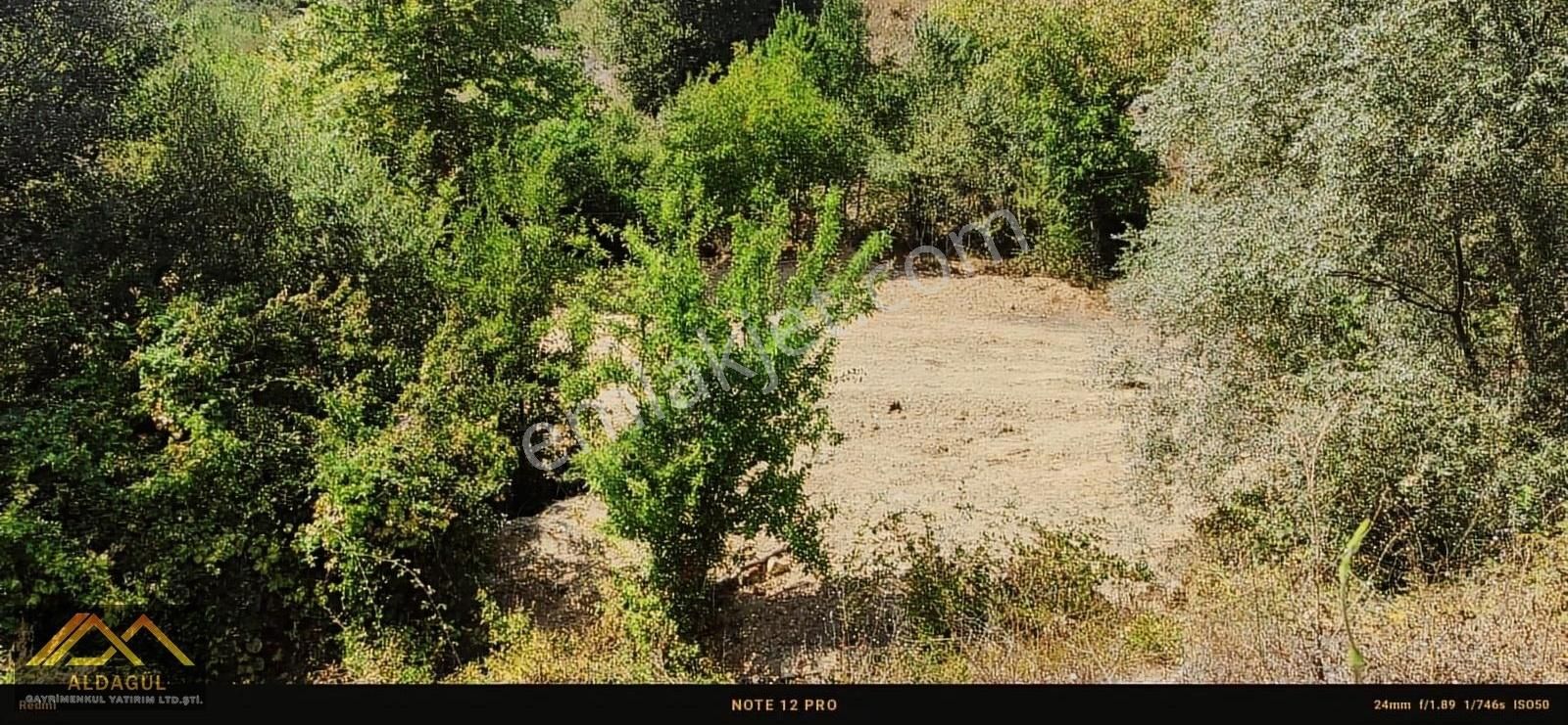 Fiyatı Düşürdük!! İnegöl Yeniköy Emsallerinin Altında Tarla.. - Görsel 7