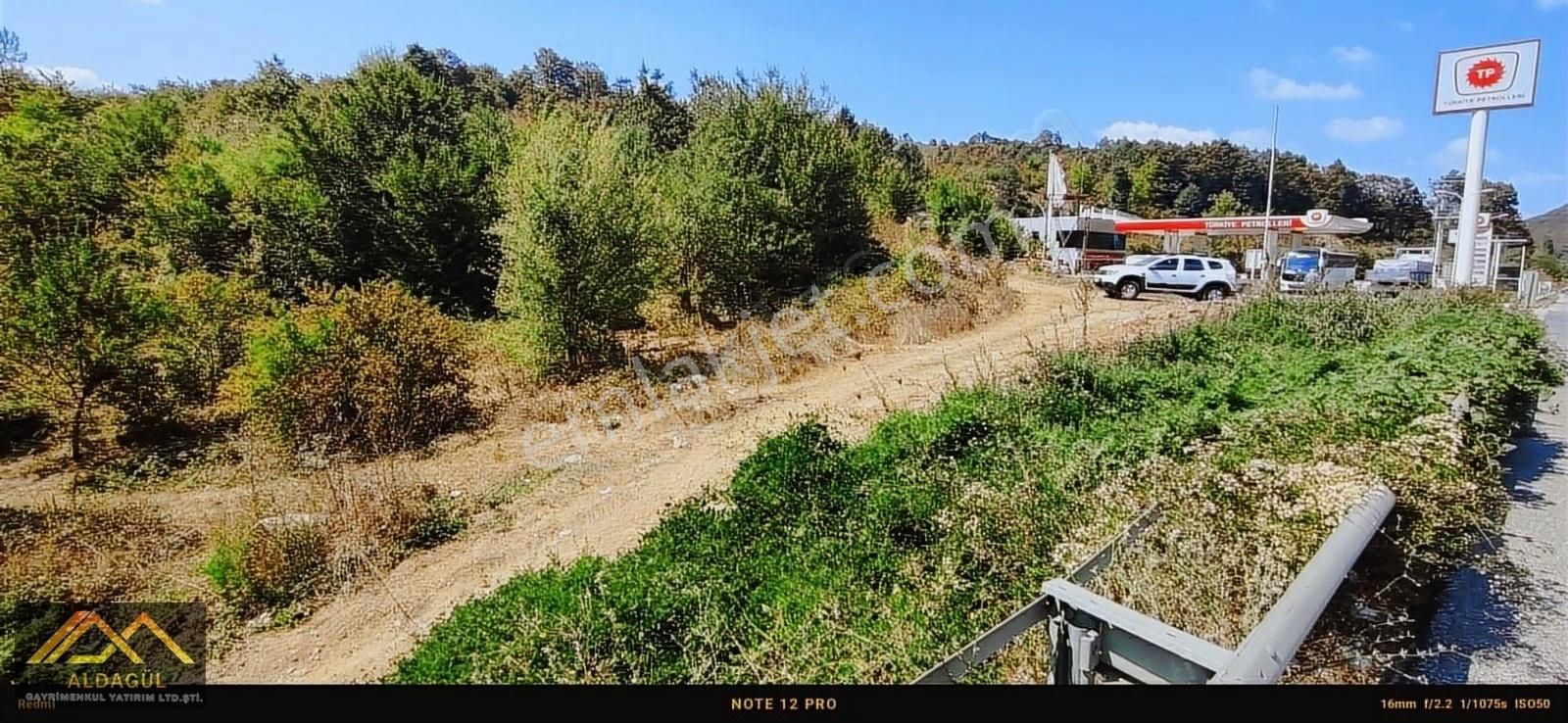 Fiyatı Düşürdük!! İnegöl Yeniköy Emsallerinin Altında Tarla.. - Görsel 4