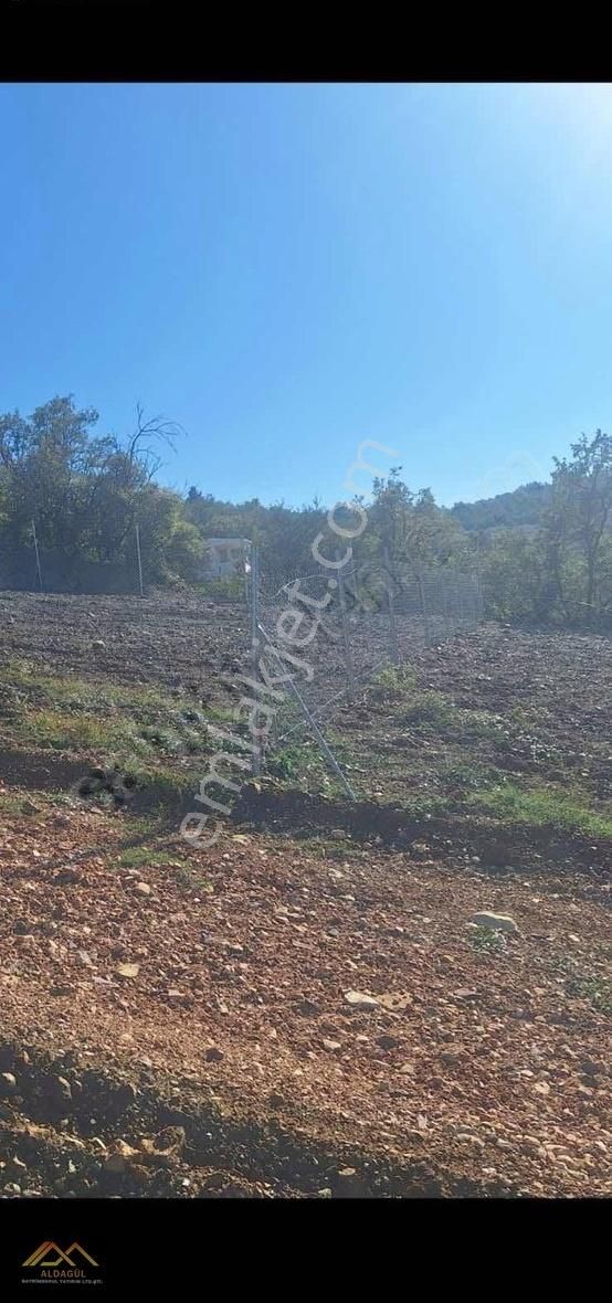 Fiyatı Düştü !! Hobi Bahçesi İçin Satılık Arsa - Görsel 5