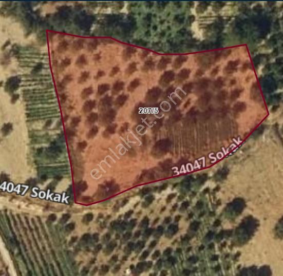 Işıklı _ Şehitkamil 'de Satılık Bahçe; Su, Elektiriği Var Yola Sıfır Kuyusu Var.