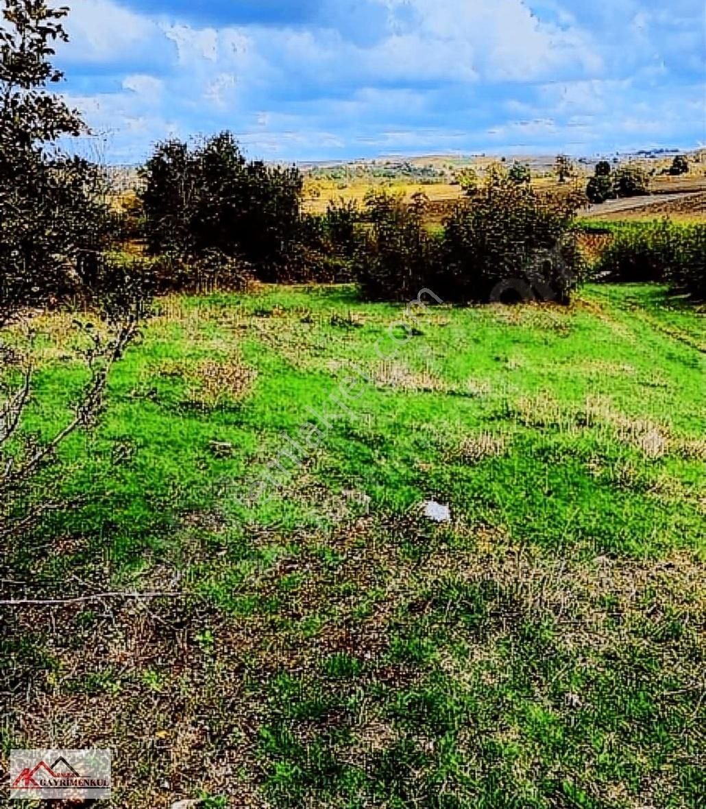 Kandıra'da Her Yere Yakın Kendi Yerimiz Satılıktır - Görsel 13