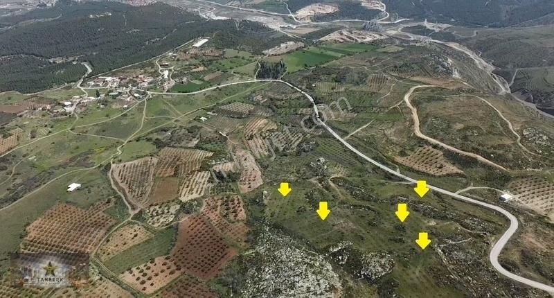 Tanberk Gayrimenkul Den Satılık Zeytinlik Karatekelide 22.172 M2