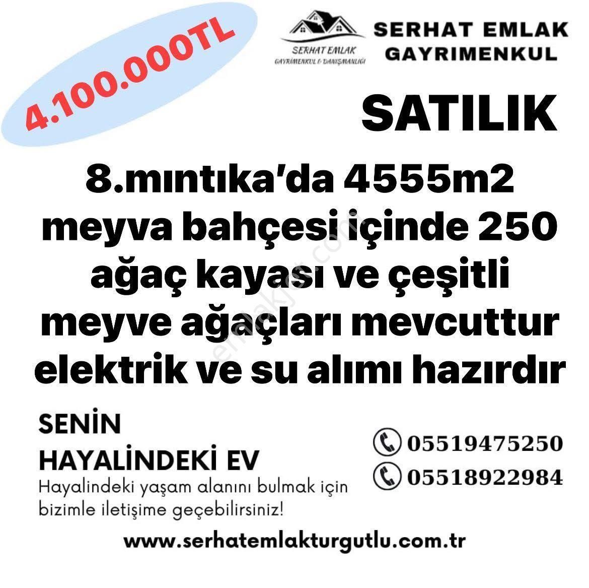 Turgutlu Satılık 8.mıntıka 4555m2 Tek Tapu Meyva Bahçesi