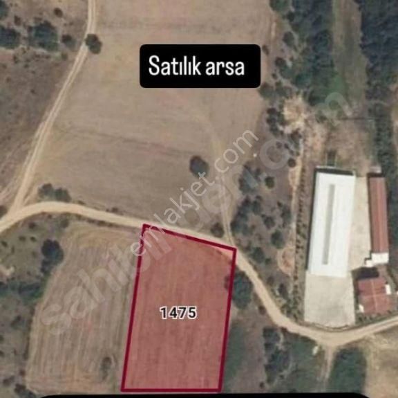 Kırklareli Babaeski Yeniköy Arsamı Satıyorum Köye Yakın 2450m2 Köye750m Uzaklıkta